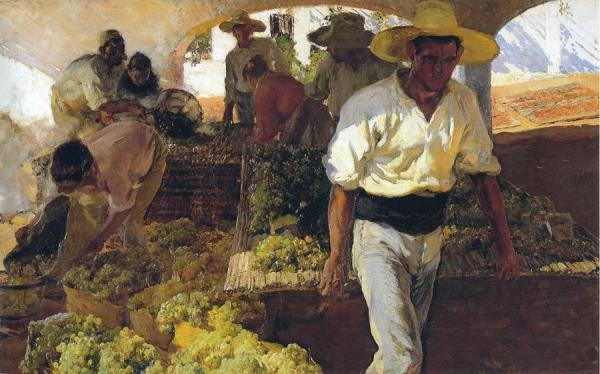 Preparing Raisins by Joaquín Sorolla