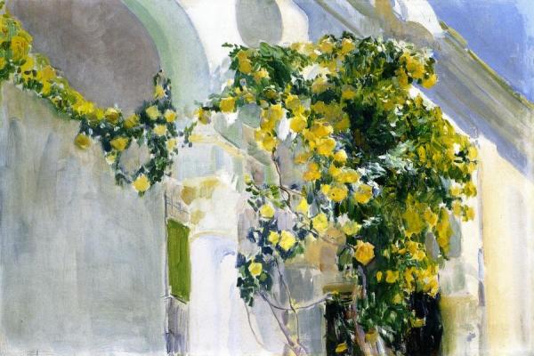 The Yellow Rosebush Of The Sorolla House by Joaquín Sorolla