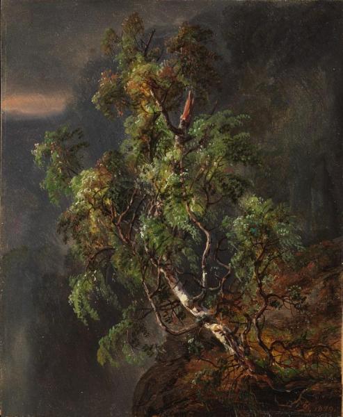 Birch Tree In A Storm by Johan Christian Dahl