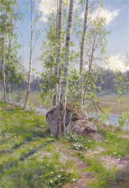 Birches by Johan Krouthén