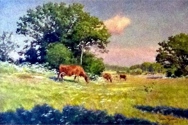 Cows On The Pasture by Johan Krouthén