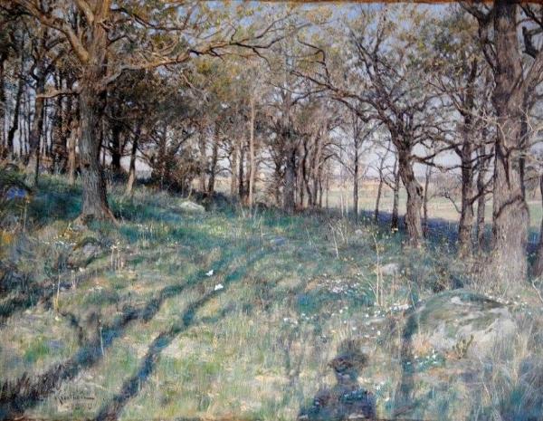 Ekängen by Johan Krouthén