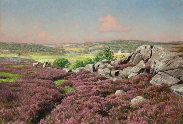 Heather-clad Cliffs With Sheep by Johan Krouthén