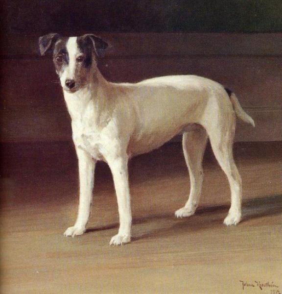 Jack Roussel by Johan Krouthén