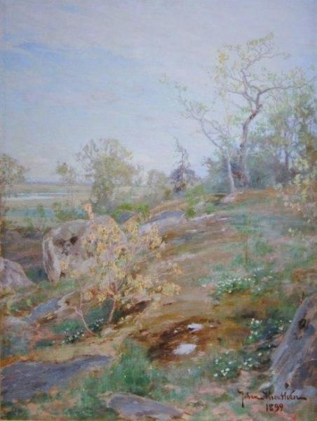 Untitled by Johan Krouthén