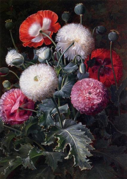 Still Life With Poppies And Other Flowers by Johan Laurentz Jensen