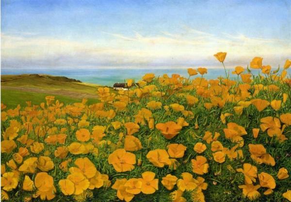 A Field Of Buttercups By The Coast by Johanne Nicoline Louise Frimodt