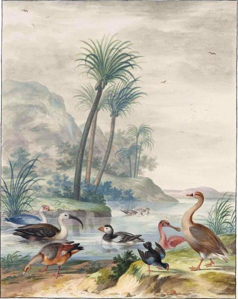 Exotic Waterbirds In A Landscape by Johannes Van Bronckhorst Oil Painting Reproductions