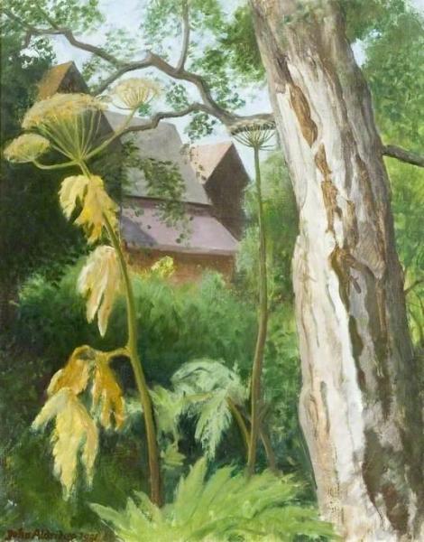 Silver Birch by John Arthur Malcolm Aldridge