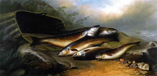 River Trout by John Bucknell Russell