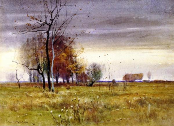 Wildflowers by John Francis Murphy