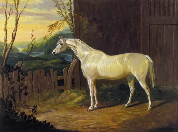 A Gray Arab Mare Outside A Stable In An Extensive River Landscape by John Frederick Herring, Sr Oil Painting Reproductions
