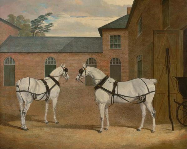 Grey Carriage Horses In The Coachyard At Putteridge Bury, Hertfordshire by John Frederick Herring, Sr