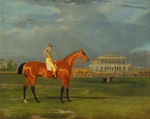 Memnon,with William Scott Up by John Frederick Herring, Sr Oil Painting Reproductions