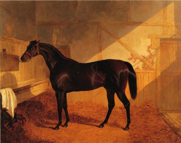 Mr. Johnstone's "charles Xii" In A Stable by John Frederick Herring, Sr