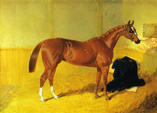 Our Nell, A Bay Racehorse In A Stable by John Frederick Herring, Sr