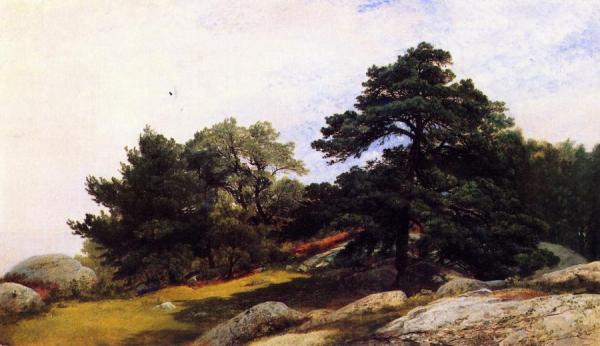 Study For Trees On The Beverly Coast by John Frederick Kensett