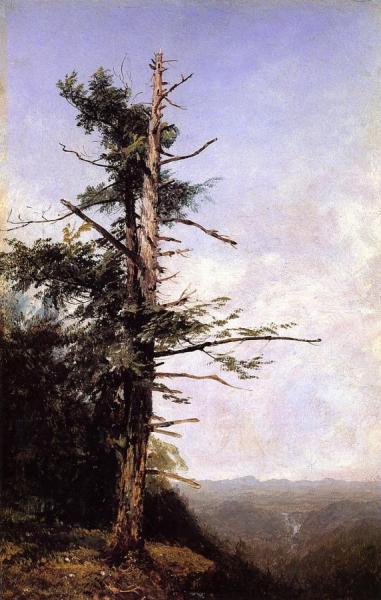 The Hemlock by John Frederick Kensett
