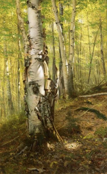 Silver Birches by John George Brown