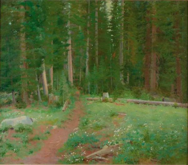Forest Solitude by John Hafen
