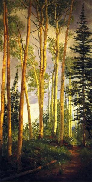 Quaking Aspens, Aspen Grove by John Hafen