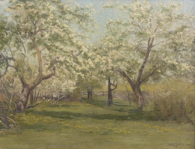 Orchard In Bloom, 1905 by John Hafen