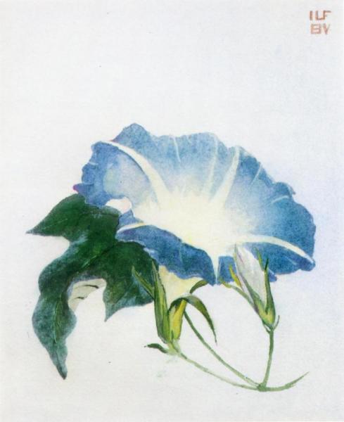 Ipomoea by John Lafarge