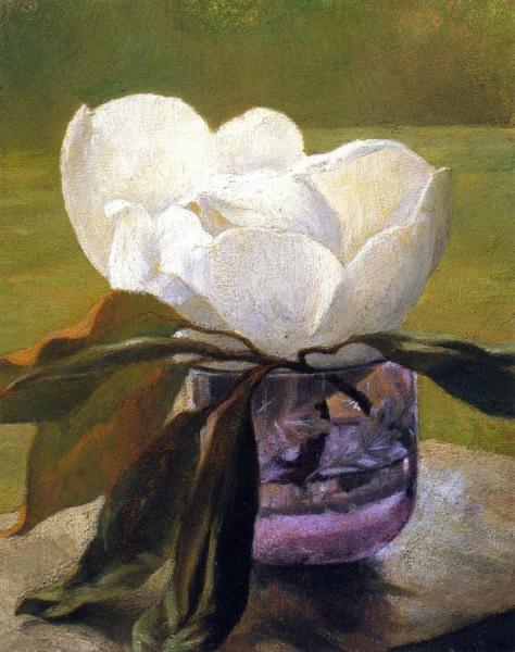 Magnolia Blossom by John Lafarge