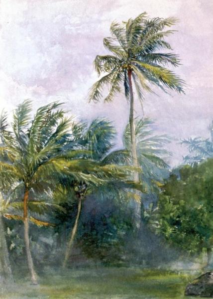 Palms In Storm, With Rain, Vaiala, Samoa by John Lafarge