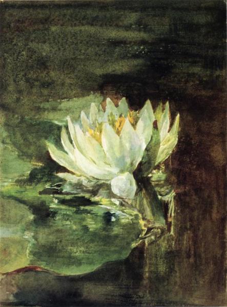 Single Water-lily In Sunlight by John Lafarge