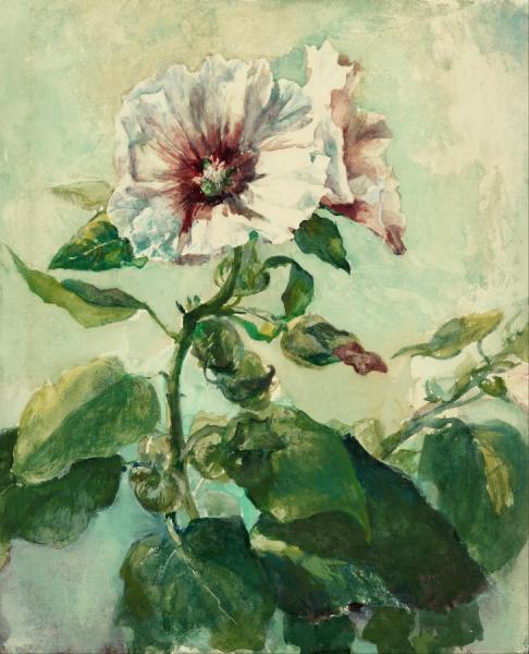 Study Of Pink Hollyhock In Sunlight, From Nature by John Lafarge