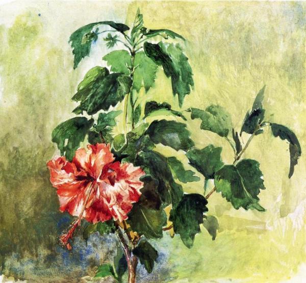 The Hibiscus, Tahiti, Society Islands, 1891 by John Lafarge Oil Painting Reproductions