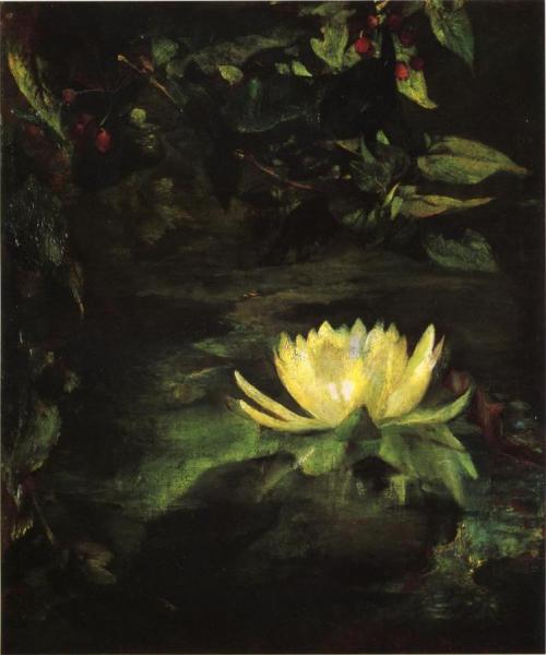 Water Lily by John Lafarge