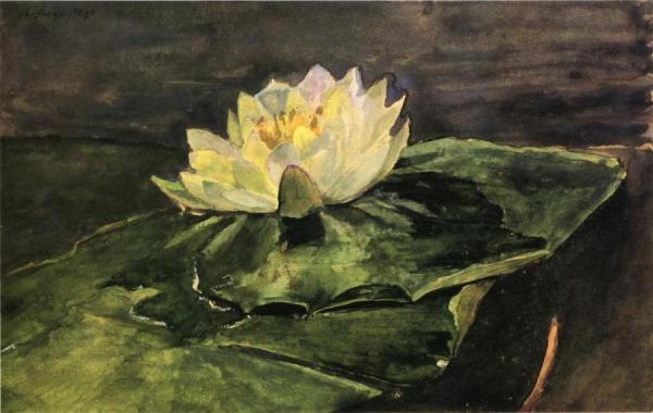 John Lafarge Water Lily