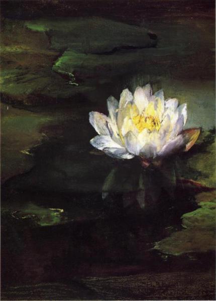 Water-lily, Study From Nature by John Lafarge