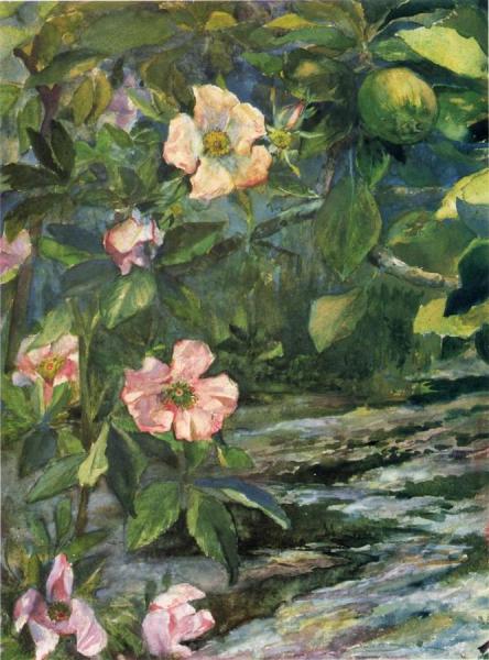 Wild Roses by John Lafarge