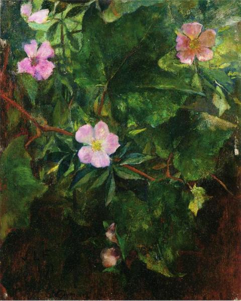 Wild Roses And Grape Vine, Study From Nature by John Lafarge