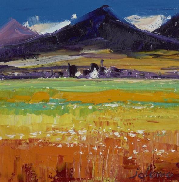 Wild Cotton At Ben More, Isle Of Mull by John Lowrie Morrison