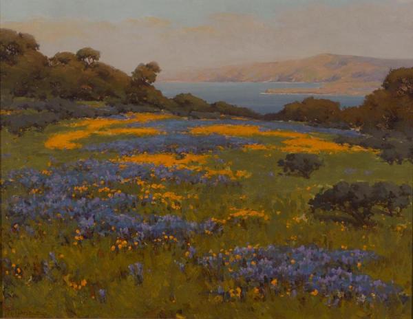 Poppies And Lupine by John Marshall Gamble Oil Painting Reproductions