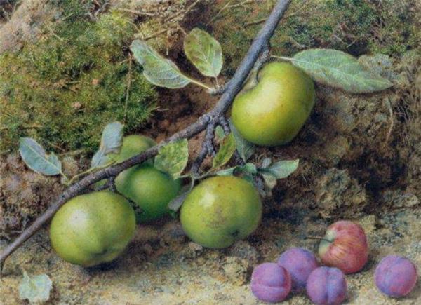 Apples And Plums On A Mossy Bank by John Sherrin