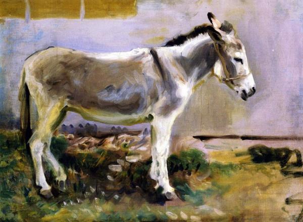 A Donkey by John Singer Sargent Oil Painting Reproductions