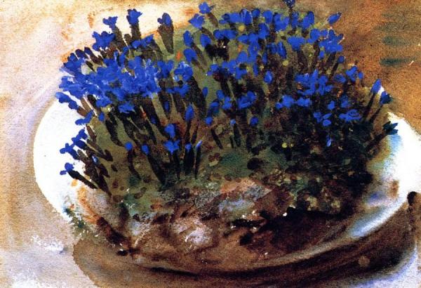 Blue Gentians by John Singer Sargent