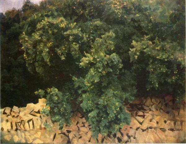 Ilex Wood, Majorca by John Singer Sargent