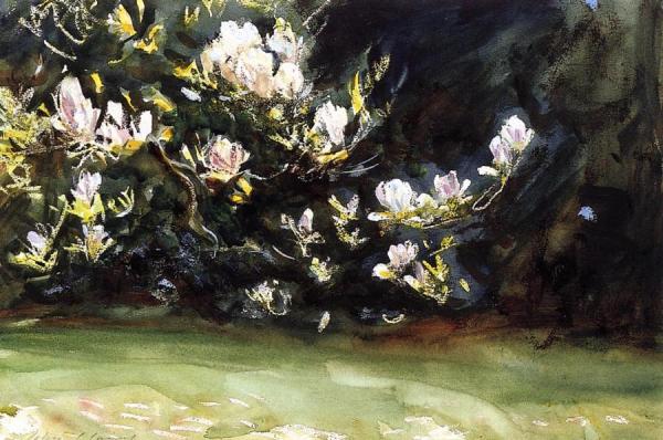 Magnolias by John Singer Sargent