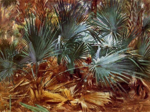 Palmettos by John Singer Sargent