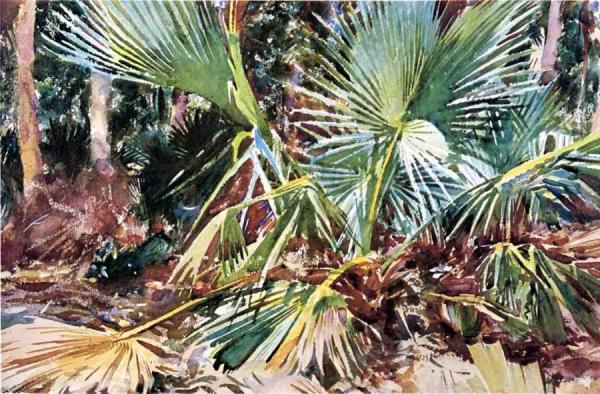 Palmettos, Florida by John Singer Sargent Oil Painting Reproductions