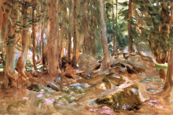 Pine Woods, Purtud by John Singer Sargent