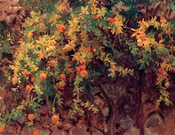 Pomegranates by John Singer Sargent