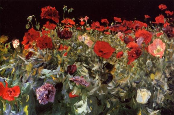 Poppies by John Singer Sargent