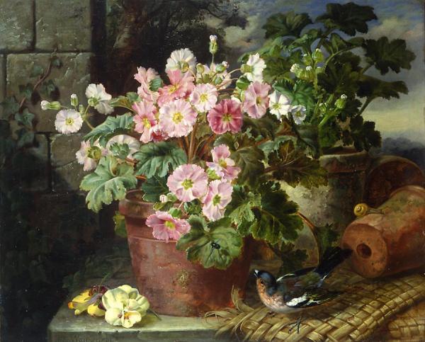 Primula In A Pot And A Chaffinch by John Wainwright Oil Painting Reproductions